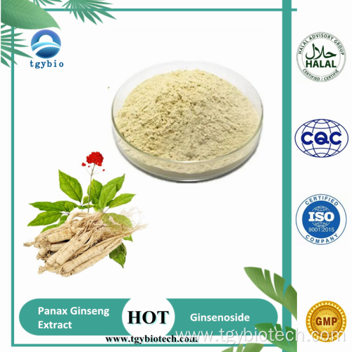 Panax Ginseng Root Extract/ Ginseng Extract 80% Ginsenosides